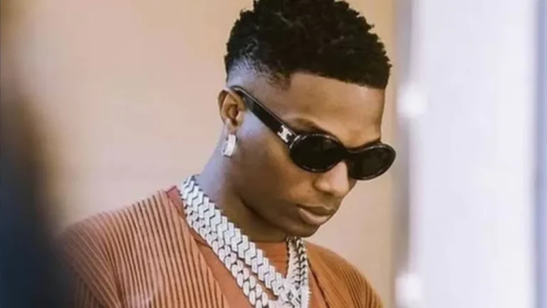 How Much is Wizkid Net Worth?