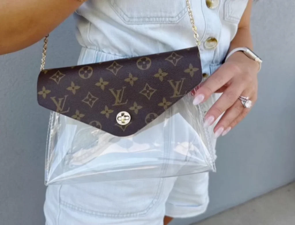 Louis Vuitton Clear Bag