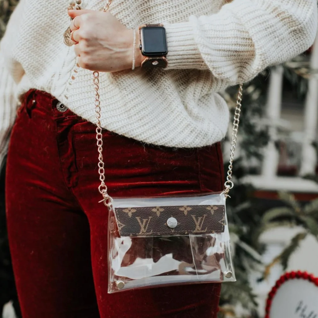 Louis Vuitton Clear Bag