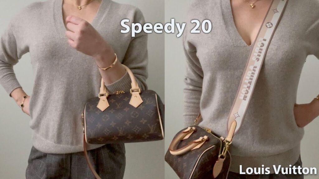 Louis Vuitton Speedy 20