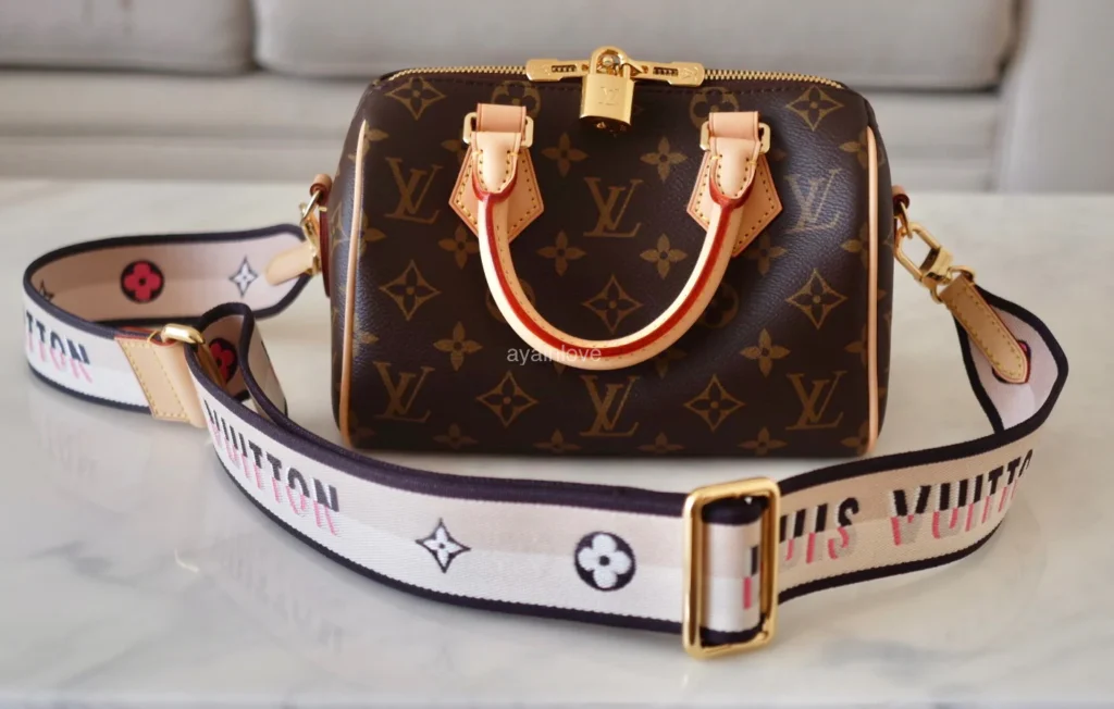 Louis Vuitton Speedy 20