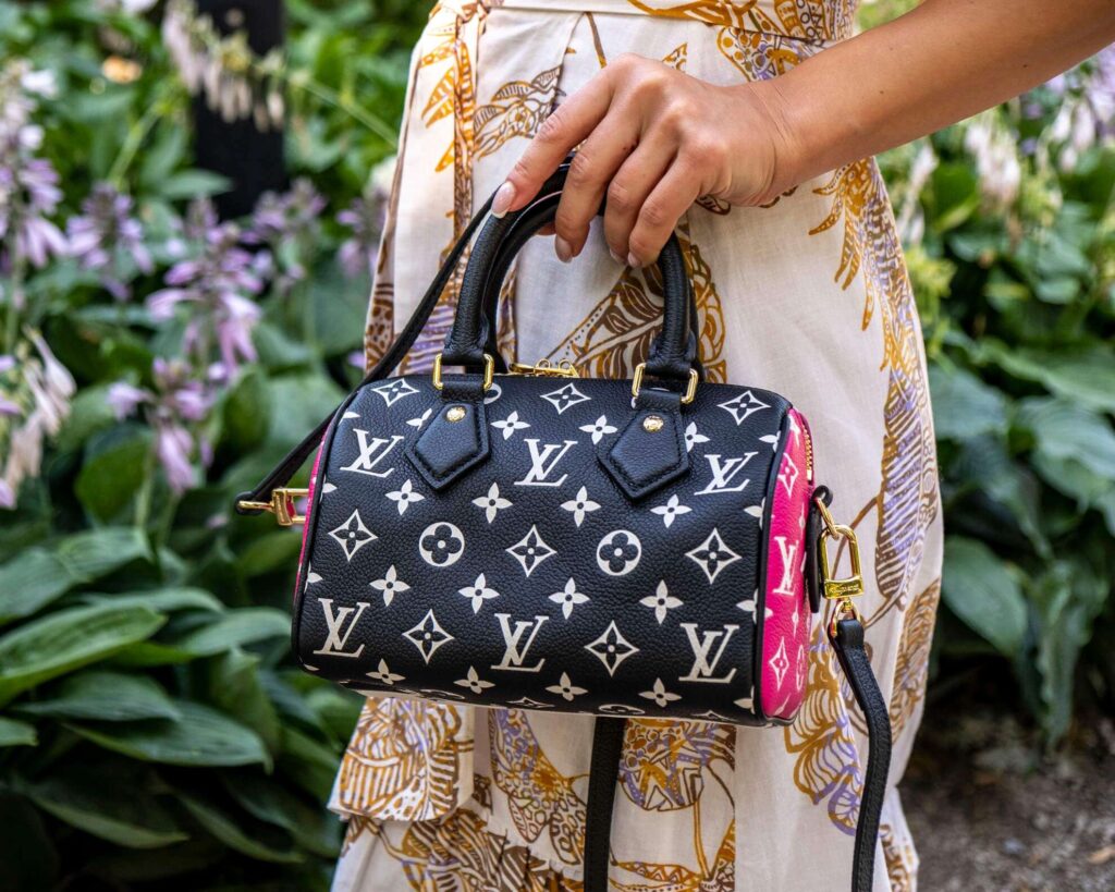 Louis Vuitton Speedy 20