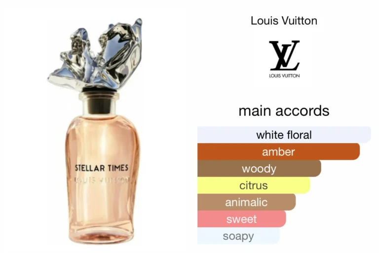 Louis Vuitton Stellar Times